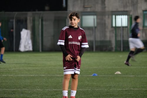 DSCF3088