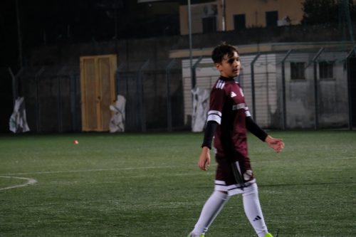 DSCF3528