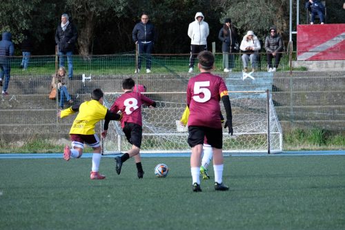 DSCF6320