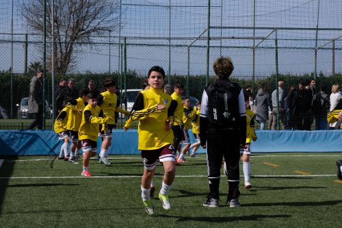 DSCF8864