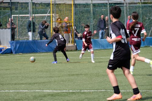 DSCF9460