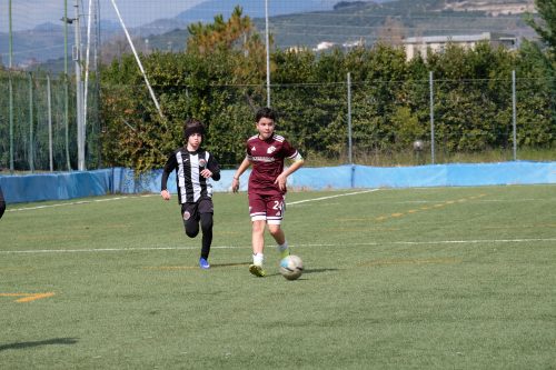 DSCF9479