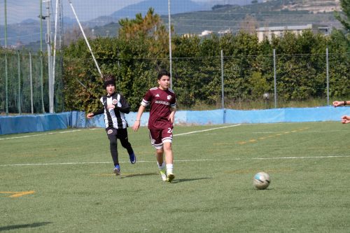 DSCF9480