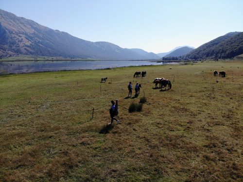 created by dji camera