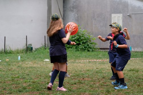 DSCF3536