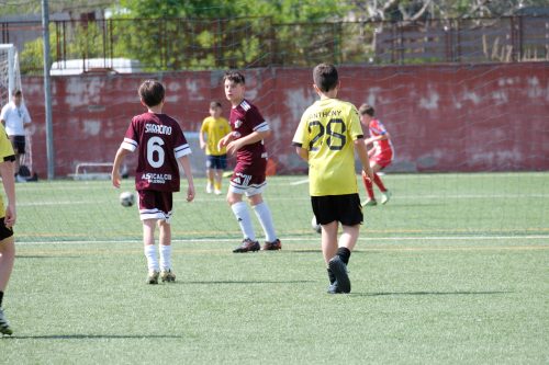 DSCF1788