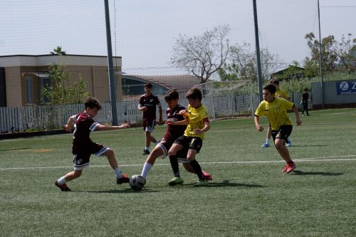 DSCF1881