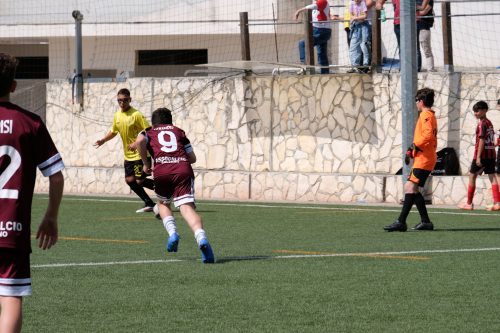 DSCF1892