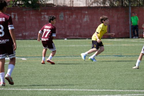 DSCF1895
