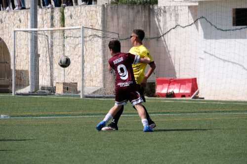 DSCF1896