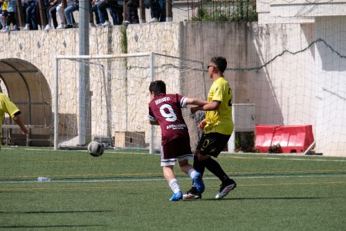 DSCF1897