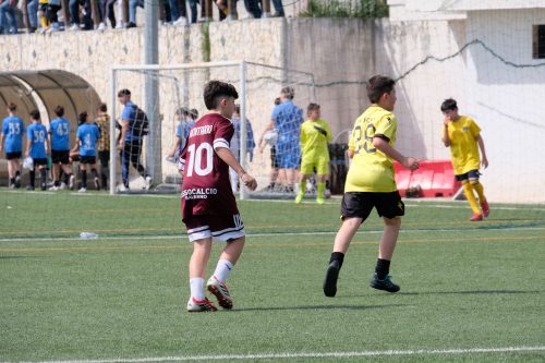 DSCF1908