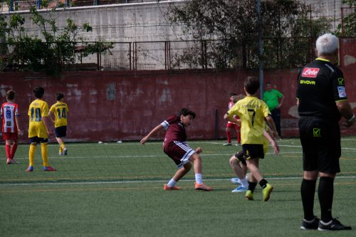 DSCF1951
