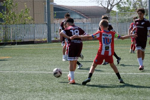 DSCF2072