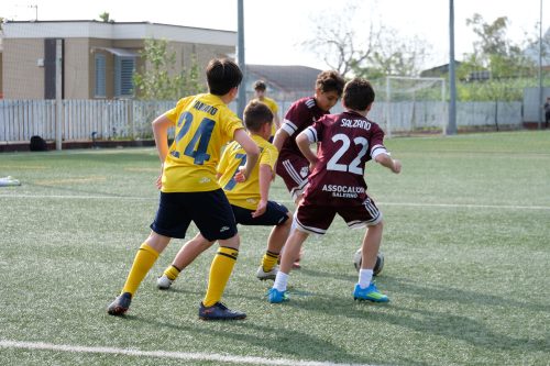 DSCF2395
