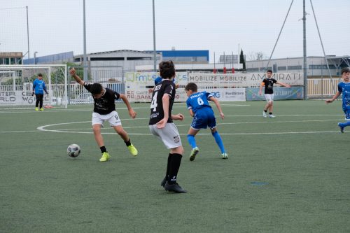 DSCF6087
