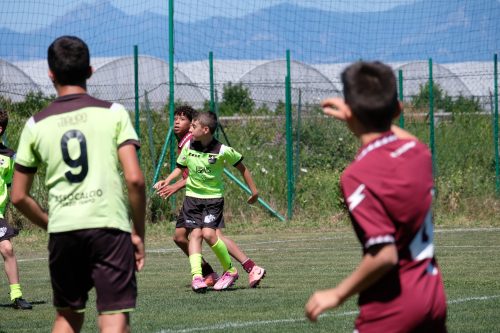 DSCF7374