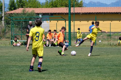 DSCF7598