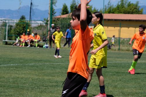 DSCF7649