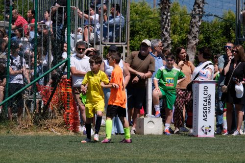 DSCF7755
