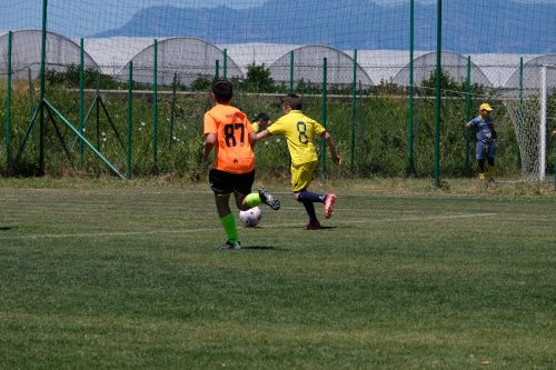 DSCF7816