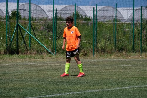 DSCF7849