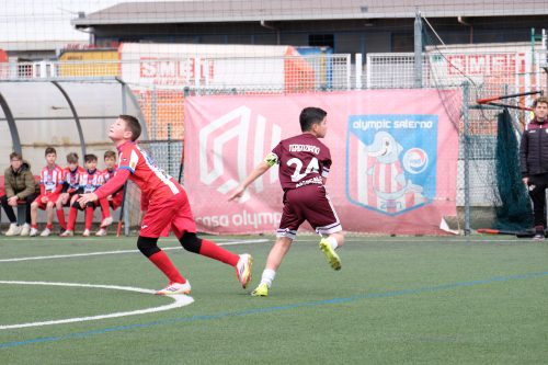 DSCF9649