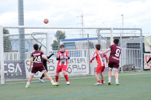 DSCF9858