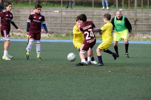 DSCF6451