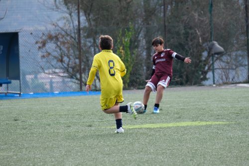 DSCF6492