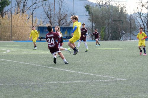 DSCF6494