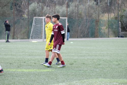 DSCF6946