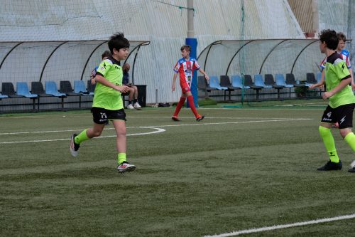 DSCF5421