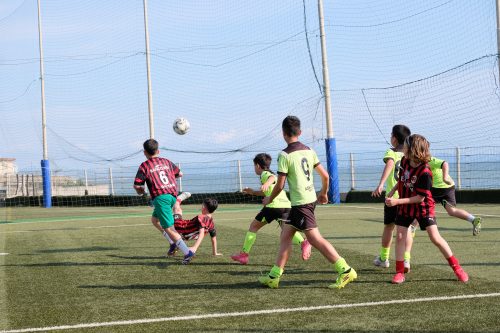 DSCF5858