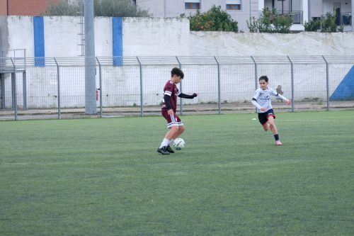 DSCF7181