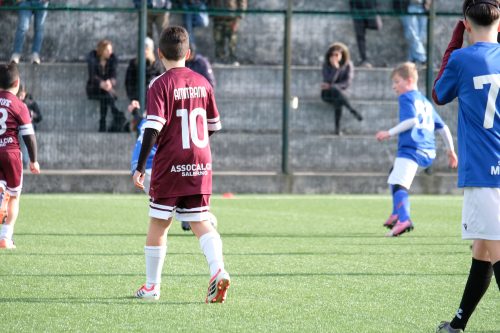 DSCF0617