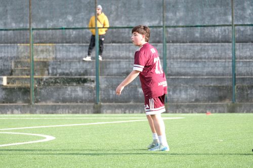 DSCF0662