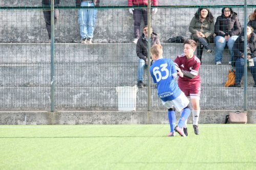 DSCF0675