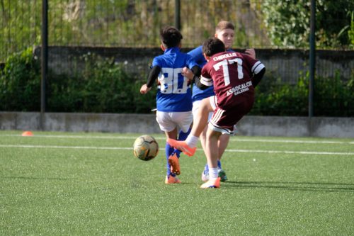 DSCF0738