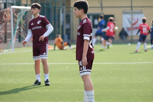 DSCF0748