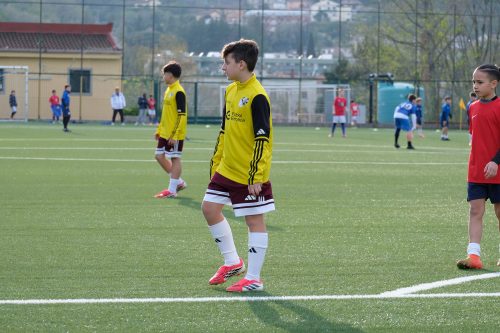 DSCF0894