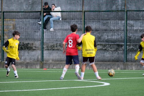 DSCF1093