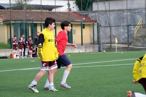 DSCF1122