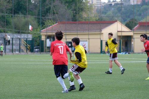 DSCF1148