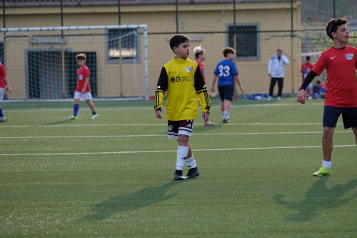 DSCF1195