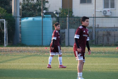 DSCF3619