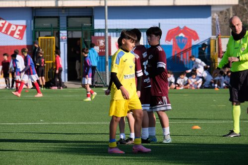 DSCF5447