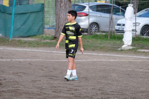 DSCF2424
