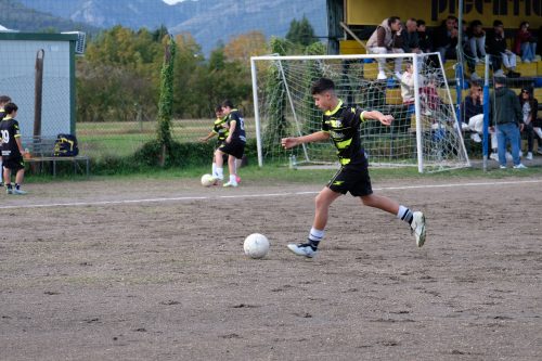 DSCF2467