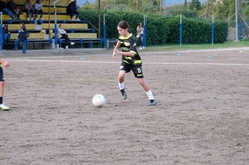 DSCF2477